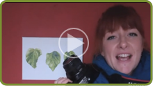 Alice Carfrae talks photos and her dream