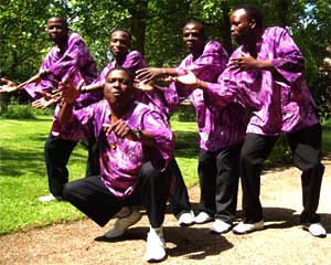 Picture of Black Umfolosi