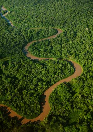 Nandita's Dream River Picture